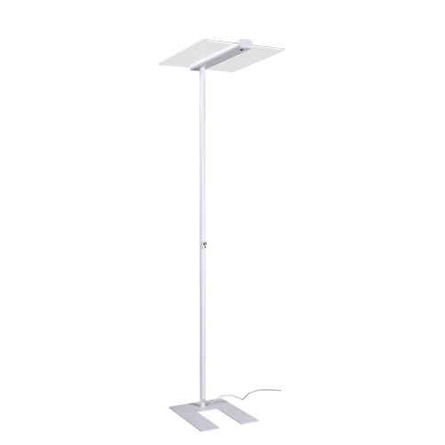 Lampe halogène sur pied à éclairage indirect – MAUL: 120 W, intensité  lumineuse réglable